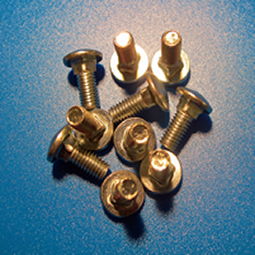 Cup Square Bolts